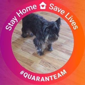 Meet your Posher, Lois